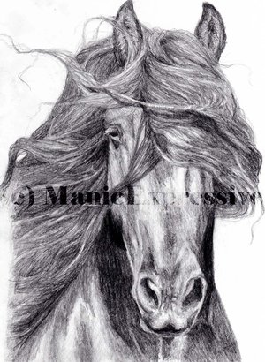 Friesian_by_ManicExpressive